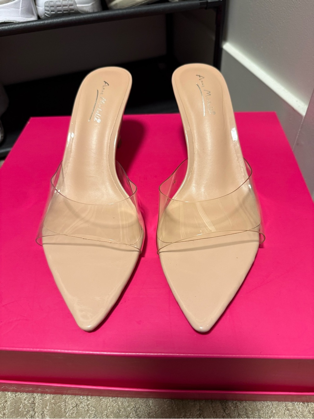 Nude Clear Strap Pointed Mule